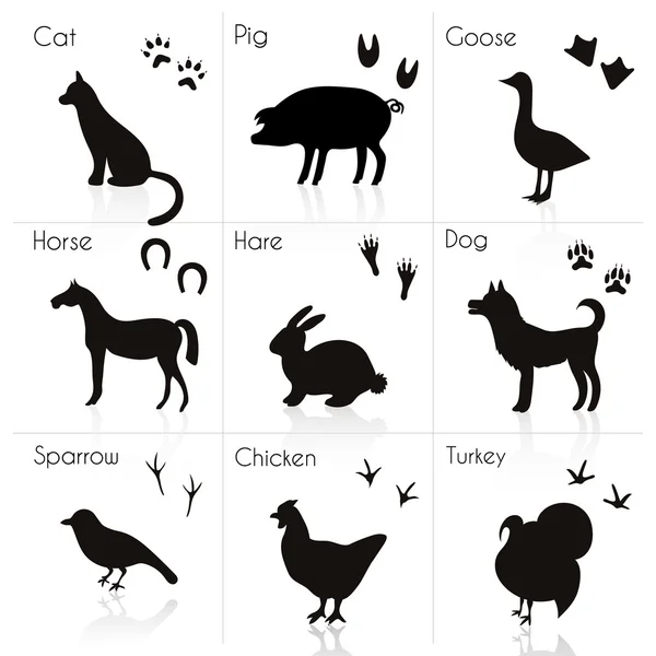 Animals Silhouettes with Name. — Stock Vector