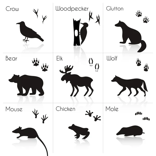 Dieren silhouetten met naam. — Stockvector