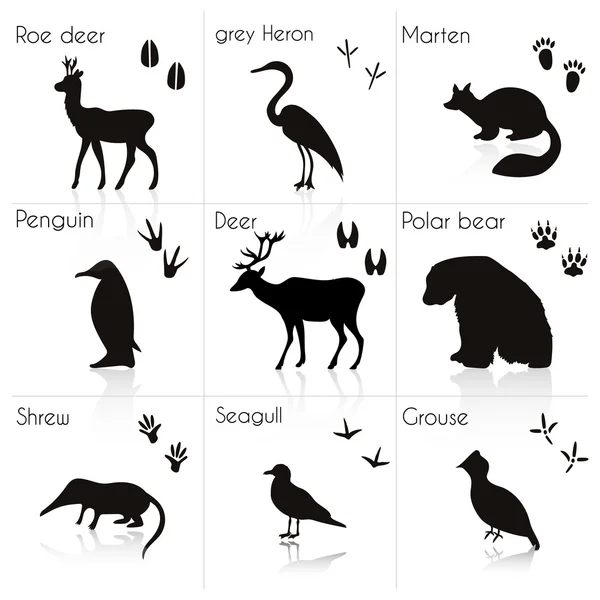 Dieren silhouetten met naam. — Stockvector