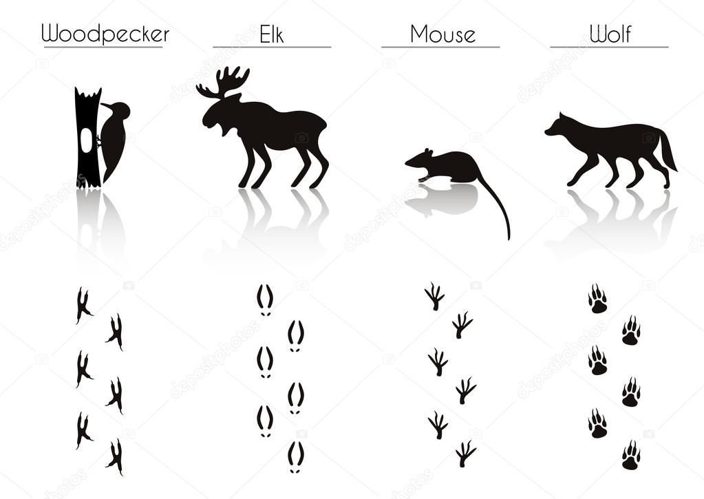 Forest Animals and Birds Silhouettes