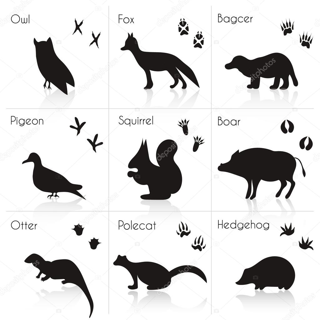 Animals Silhouettes with Name. Stock Vector Image by ©Fafarumba #91944608 Animals Silhouettes with Name. Stock Vector Image by ©Fafarumba #91944608