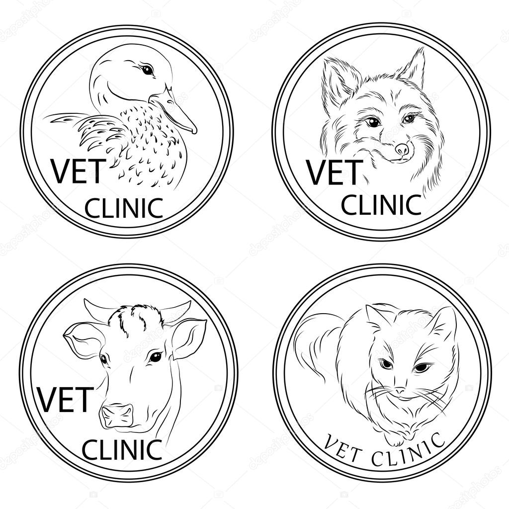 Set signage or stickers to the veterinary clinic, for your products to animals, advertising, design