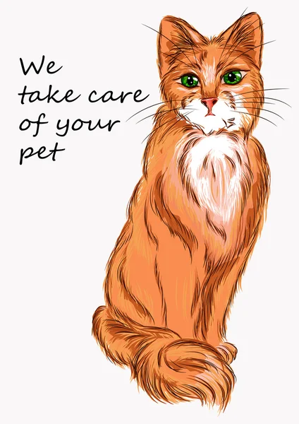 Ilustración gato para publicidad de productos para animales y veterinaria — Archivo Imágenes Vectoriales