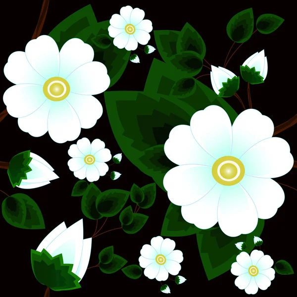 Nahtloser Hintergrund mit weißen Blumen auf schwarzem Hintergrund — Stockvektor