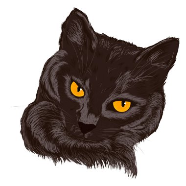 Kedi 2 Illustration. Renk