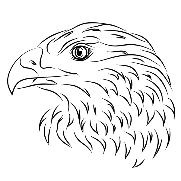 Abbildung eines Adlers — Stockvektor
