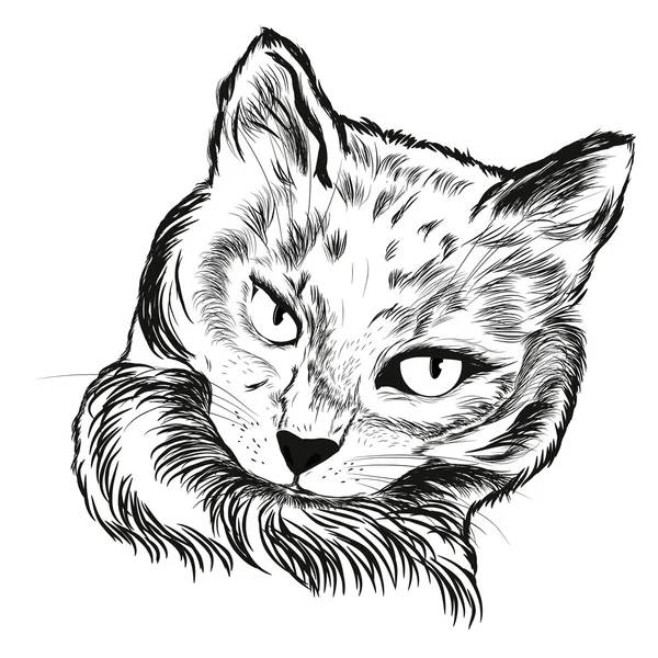 Ilustración del gato 3 — Archivo Imágenes Vectoriales