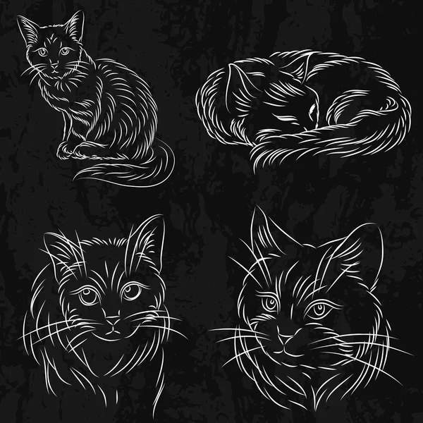 고양이 스케치 스타일에서의 집합입니다. 그것은 책 또는 로고에 사용할 수 있습니다. — 스톡 벡터