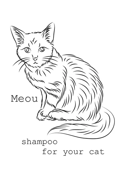 Imagen a utilizar en envases, cajas o botellas de champú para gatos . — Archivo Imágenes Vectoriales