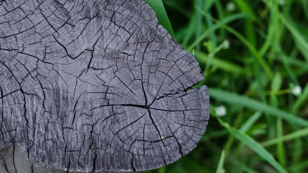 Textura de madera — Foto de Stock