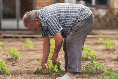 Elleri toprak işleriyle dolu bir insan. Seçici odak.