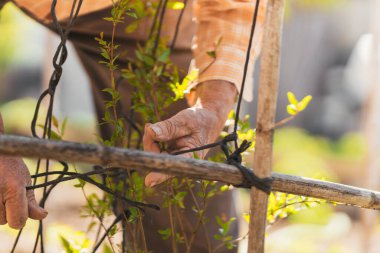 İş yerindeki yaşlı insanların ellerinin detaylı görünümü. Seçici odak.