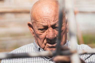 Meyve bahçesinde çalışan yaşlı bir adamın portresi