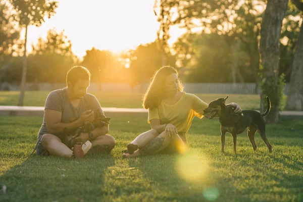 Par och deras hund sitter på gräs i en park — Stockfoto
