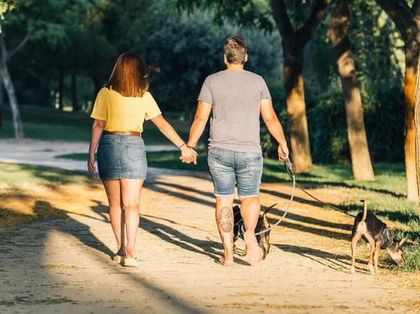 Vista posteriore di coppia amorevole che si tiene per mano allontanandosi con i loro cani — Foto Stock