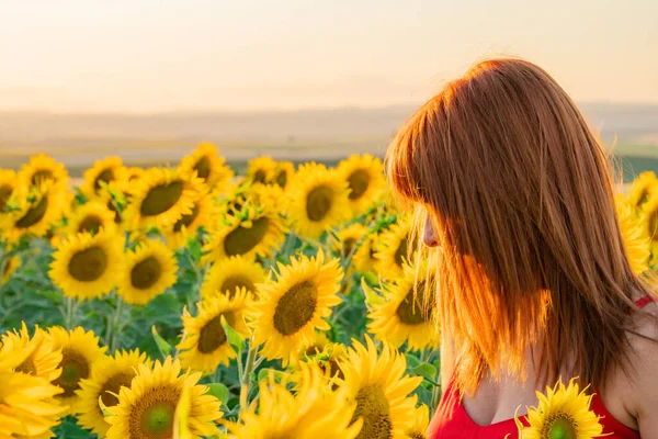 Ayçiçeği tarlasında günbatımının tadını çıkarıyorum.