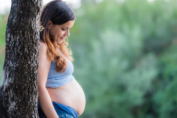 Foto con espacio de copia de una mujer embarazada relajada apoyada contra un árbol —  Fotos de Stock