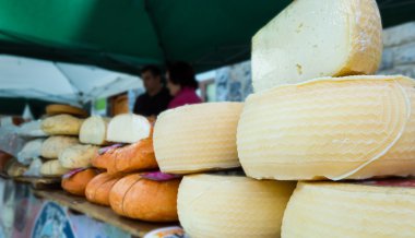 Bir sayaç üzerinde çeşitli peynirler.