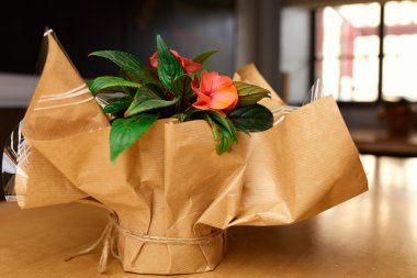 Hediye kağıt çiçekler