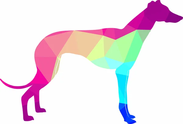 灰狗的矢量图像 彩色灰狗或狗的图解 免版税图库插图