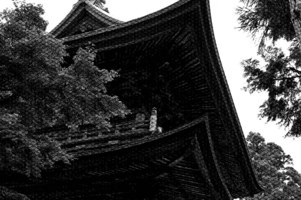 亚洲传统房屋屋顶的矢量图像 屋顶细节为半色调波纹单色 日本式房屋 中国古代房屋 — 图库矢量图片