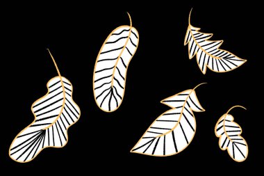 Beyaz Sonbahar Yaprakları Siyah Arkaplanda, Düşen En Düşük Yeşillik Silüeti ResimleriComment