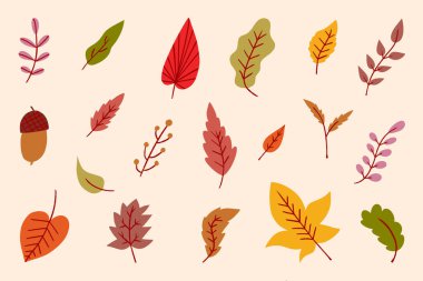 Sonbahar Yaprakları Çizimi, Renkli El Çizimi Sonbahar Botanik Çizimi