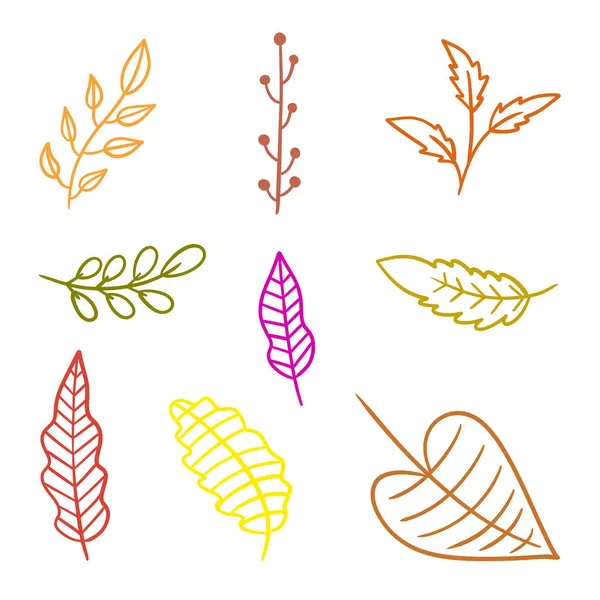 Çoklu Renkli Botanik Sonbahar Yaprakları Çizimi, El Yazması Doodle Vektör Koleksiyonu