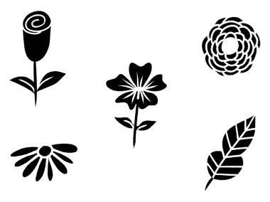 Bir gül papatyası ve botanik çizimler ve desenler için diğer çiçek ve yaprak tasarımları içeren siyah ve beyaz çiçek vektör sanatı
