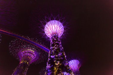 Singapur Körfez graden supertree koruda gece manzarası