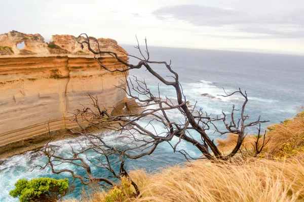 Great Ocean Road, Australia. Vista al océano Pacífico . —  Fotos de Stock