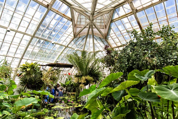 San Francisco Conservatory of Flowers-belső Jogdíjmentes Stock Képek