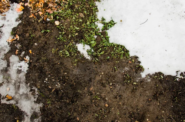 Gesmolten sneeuw op een veld. Vuil en sneeuw. Zand en sneeuw. achtergrond. Grond textuur met tak en een takje in de lente. — Stockfoto