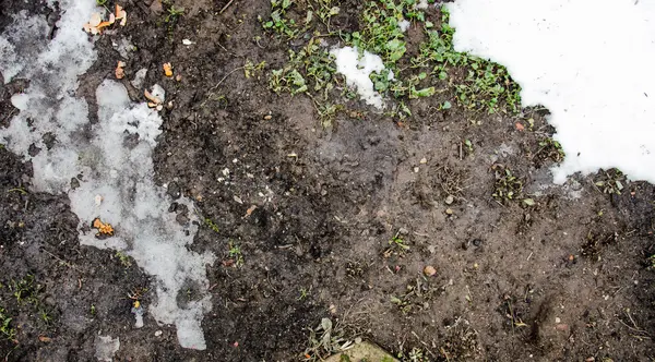 Gesmolten sneeuw op een veld. Vuil en sneeuw. Zand en sneeuw. achtergrond. Grond textuur met tak en een takje in de lente. — Stockfoto