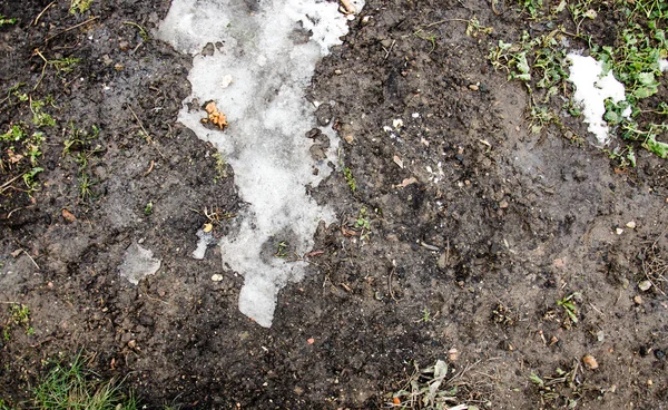 Растаял снег на поле. Грязь и снег. Песок и Сноу. Предыстория. Грунтовая текстура с ветвями и прядями . — стоковое фото