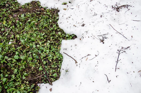 Gesmolten sneeuw op een veld grenn gras. Vuil en sneeuw. Zand en sneeuw. achtergrond. Grond textuur met tak en een takje in de lente. — Stockfoto