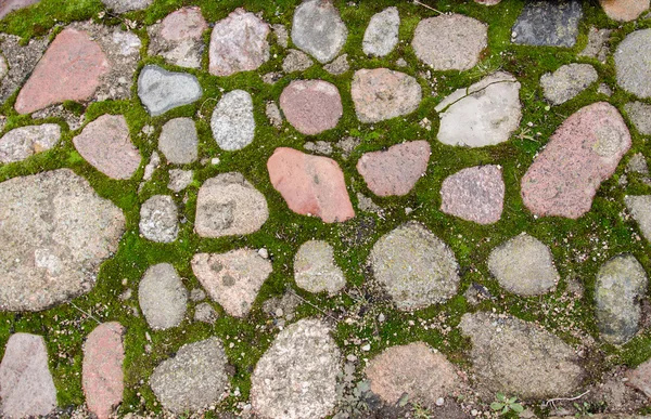 Cam tuğla kaldırım blokları. Arnavut kaldırımlı kaldırım. Yeşil yosun eski taş patika üzerinde. Yol kaldırım, yeşil çimen. Moss inbetween Arnavut kaldırımlı kaldırım büyümeye çalışırken.