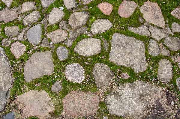 Cam tuğla kaldırım blokları. Arnavut kaldırımlı kaldırım. Yeşil yosun eski taş patika üzerinde. Yol kaldırım, yeşil çimen. Moss inbetween Arnavut kaldırımlı kaldırım büyümeye çalışırken.