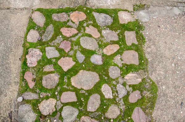 Cam tuğla kaldırım blokları. Arnavut kaldırımlı kaldırım. Yeşil yosun eski taş patika üzerinde. Yol kaldırım, yeşil çimen. Moss inbetween Arnavut kaldırımlı kaldırım büyümeye çalışırken.