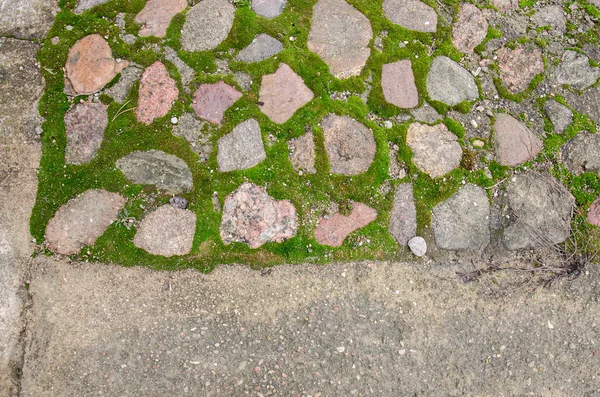 Cam tuğla kaldırım blokları. Arnavut kaldırımlı kaldırım. Yeşil yosun eski taş patika üzerinde. Yol kaldırım, yeşil çimen. Moss inbetween Arnavut kaldırımlı kaldırım büyümeye çalışırken.