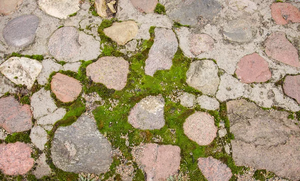 Cam tuğla kaldırım blokları. Arnavut kaldırımlı kaldırım. Yeşil yosun eski taş patika üzerinde. Yol kaldırım, yeşil çimen. Moss inbetween Arnavut kaldırımlı kaldırım büyümeye çalışırken.