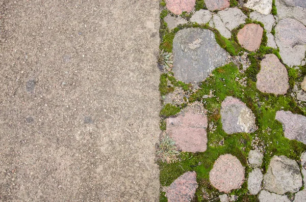 Cam tuğla kaldırım blokları. Arnavut kaldırımlı kaldırım. Yeşil yosun eski taş patika üzerinde. Yol kaldırım, yeşil çimen. Moss inbetween Arnavut kaldırımlı kaldırım büyümeye çalışırken.