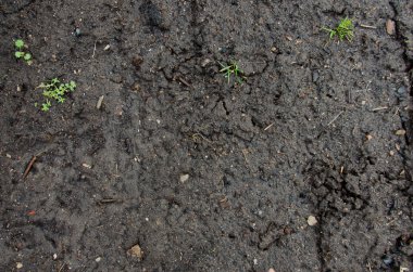 Kırmızı toprak doku görüntüsü. Kuraklık. toprak kir doku içindeki bazı ince taneli ile. Toprak doku katmanları doğal arka plan için. Toprak doku. yere dikim için zemin hazırlamak.