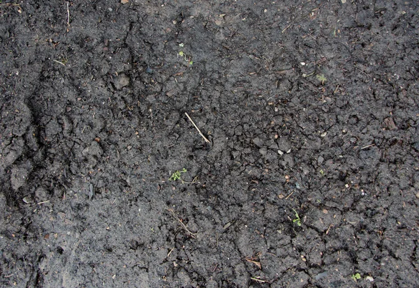 Изображение текстуры красной почвы. Засуха. текстура почвы с мелким зерном. Текстурные слои почвы для естественного фона. Структура почвы. земля подготовить почву для посадки . — стоковое фото