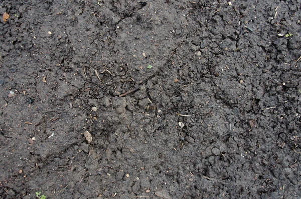 Изображение текстуры красной почвы. Засуха. текстура почвы с мелким зерном. Текстурные слои почвы для естественного фона. Структура почвы. земля подготовить почву для посадки . — стоковое фото