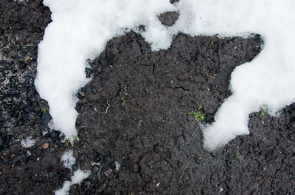 Camada de xisto de carvão no perfil do solo. Neve. Fundo de textura de carvão preto. Detalhes sobre a superfície do carvão vegetal. Queimar grelhador de carvão. Superfície de carvão vegetal. Carvão em chamas. Carvão vegetal em decomposição . — Fotografia de Stock