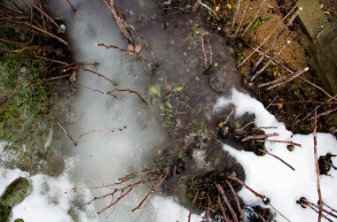 Bir sonbahar buzlu çim görüntüsünü. donmuş ot. Çim donmuş, aşırı alan derinliği kullanılır. Bahar buz çim. Orada geçen yıl ve yeni yeşil çimen. 