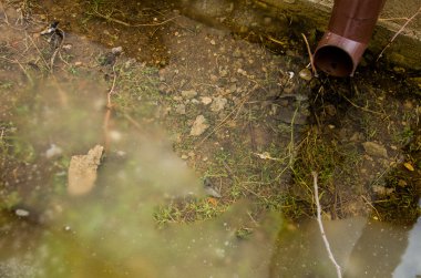 çimenli bahçede çim veya park yeşil alan yansımaları ile göletlerde ile. Buzlu bir su birikintisi içinde donmuş bitki. Garip endemik flora ve siste kaybettim taşlarından yapılmış yolu ile pembe kaya birikintisi