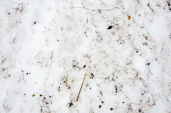 Sujeira derretida neve em um campo. antecedentes. Textura do solo com ramo e galho em espionagem . — Fotografia de Stock