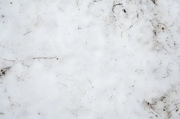 Sujeira derretida neve em um campo. antecedentes. Textura do solo com ramo e galho em espionagem . — Fotografia de Stock